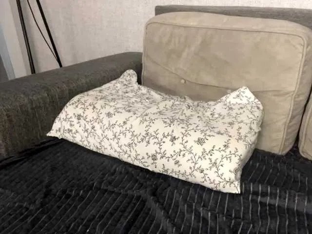 DeberaWarsham on BongaCams 