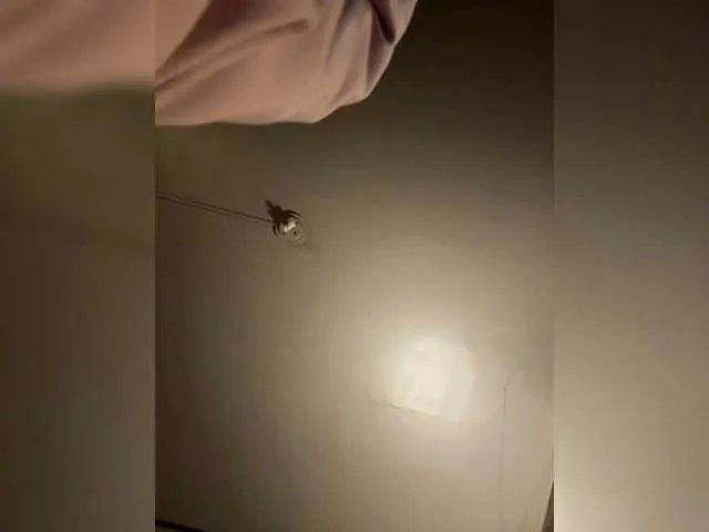 JullietteLatte on BongaCams 