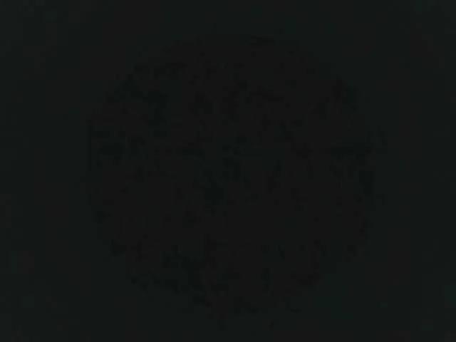 nataly-rodri on BongaCams 