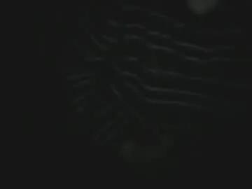 julien31x — Freechat on Chaturbate