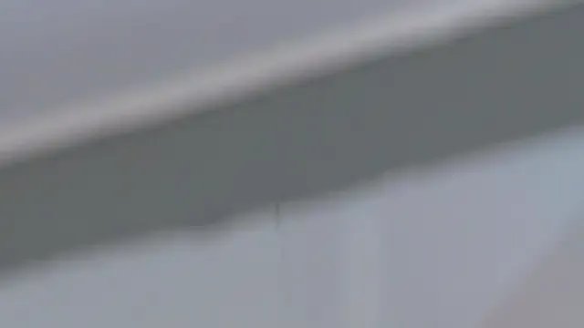 DaniaMarcell on StripChat