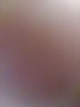 Verka199 on StripChat