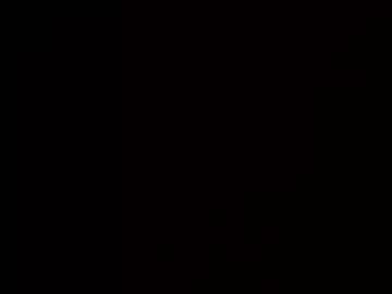 Stockungs webcams show profile image 