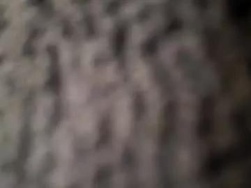 tommypecan from Chaturbate