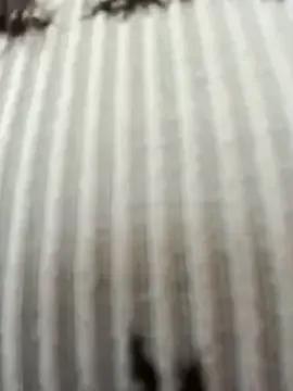 Frost_foxy webcams show profile image 