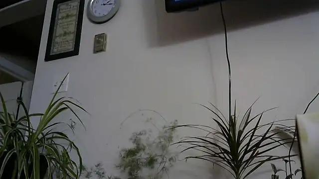 indigoodream from StripChat