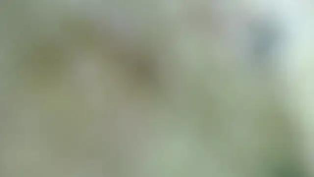 Sophia_your from StripChat is Freechat