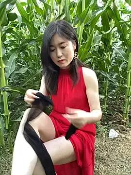 Photos of sunny-520 from StripChat is Freechat