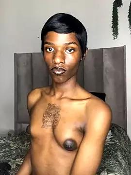 Photos of Trans_fairy from StripChat is Freechat