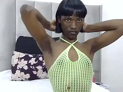 Trans_fairy webcams show profile image 
